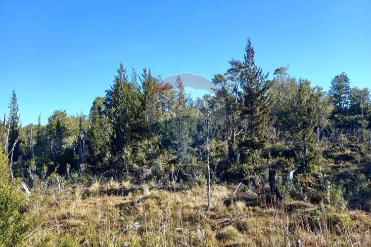 Vende/ parcela 184 en doña catalina/ el mañío