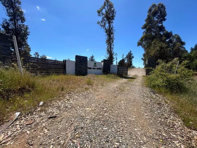 Parcelas en Tomeco a 45 minutos de concepcion (105536)