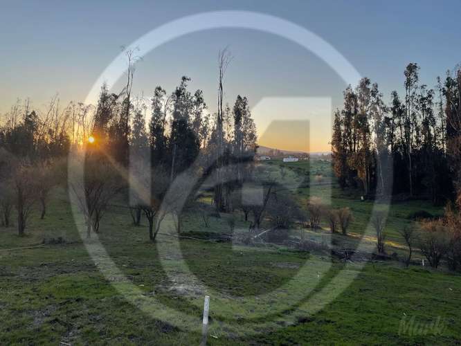 Parcela en Culiprán – 5.000m² con Luz  (105538) - Imagen 10