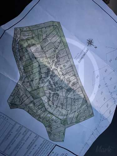 Parcela en Culiprán – 5.000m² con Luz  (105538) - Imagen 17