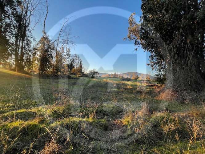Parcela en Culiprán – 5.000m² con Luz  (105538) - Imagen 5