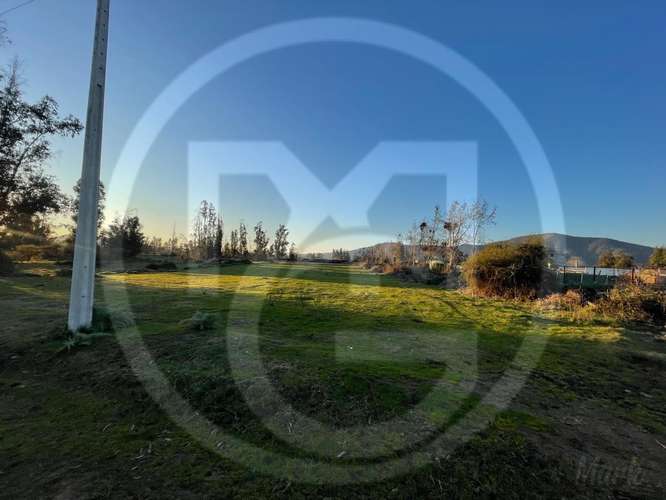 Parcela en Culiprán – 5.000m² con Luz  (105538) - Imagen 3