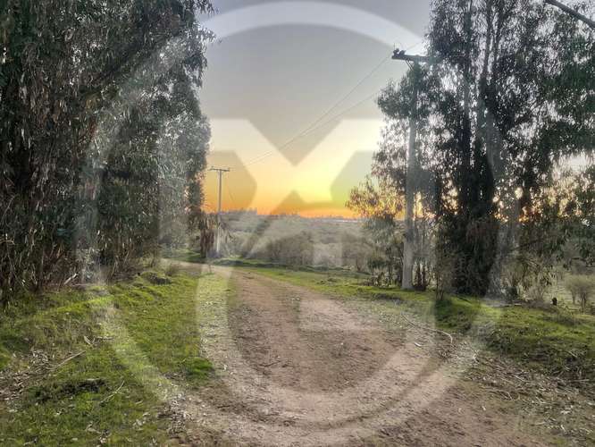 Parcela en Culiprán – 5.000m² con Luz  (105538) - Imagen 11