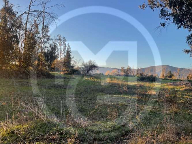 Parcela en Culiprán – 5.000m² con Luz  (105538) - Imagen 4