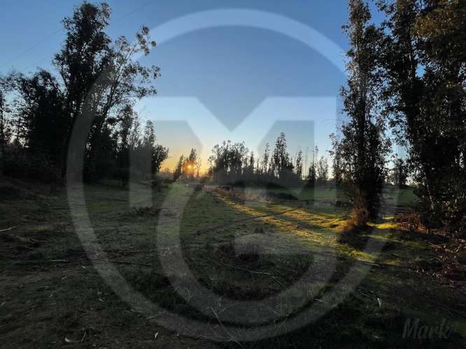 Parcela en Culiprán – 5.000m² con Luz  (105538) - Imagen 6