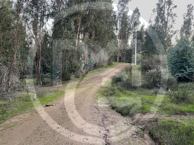 Parcela en Culiprán – 5.000m² con Luz  (105538) - Imagen 8