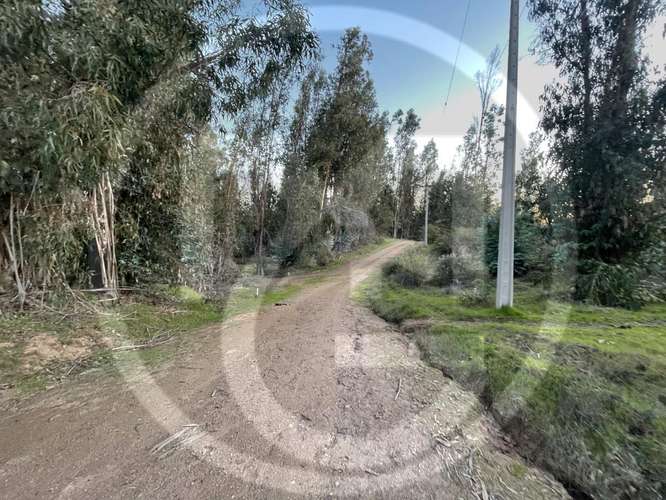 Parcela en Culiprán – 5.000m² con Luz  (105538) - Imagen 9