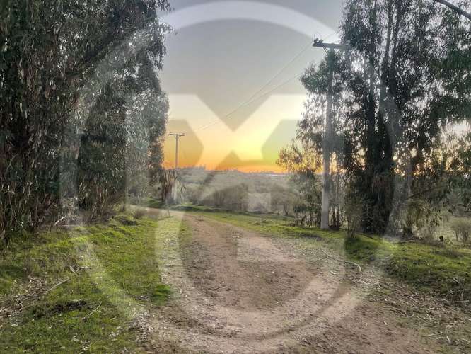 Parcela en Culiprán – 5.000m² con Luz  (105538) - Imagen 16