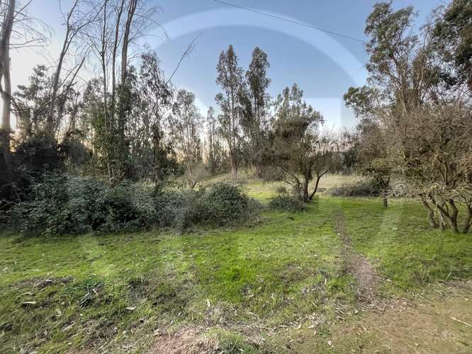 Parcela en Culiprán – 5.000m² con Luz  (105538) - Imagen 13