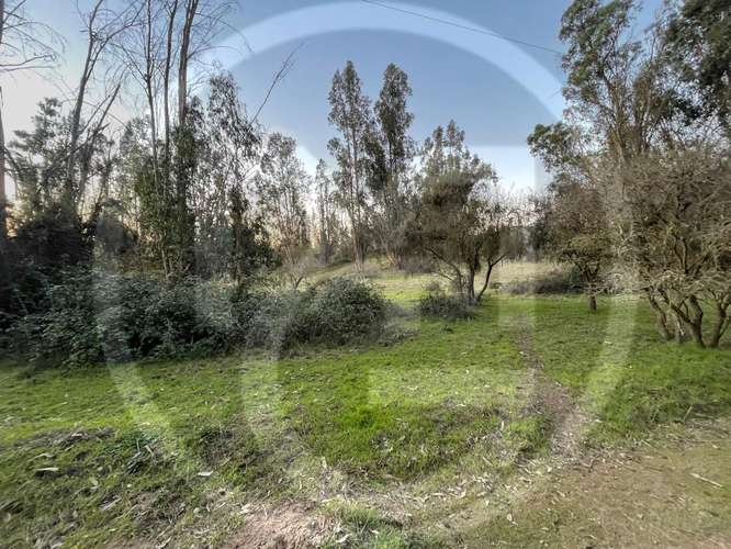 Parcela en Culiprán – 5.000m² con Luz  (105538) - Imagen 12