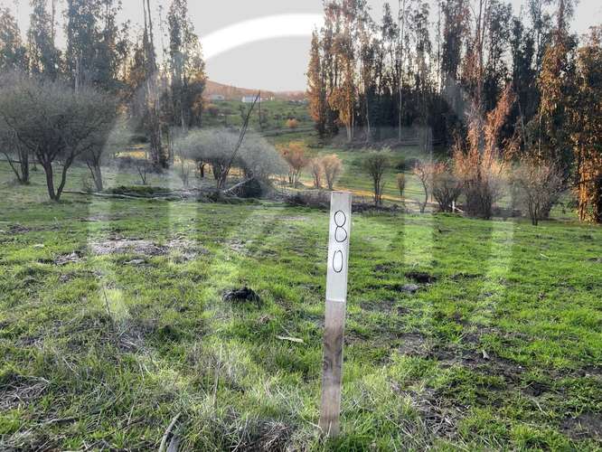 Parcela en Culiprán – 5.000m² con Luz  (105538) - Imagen 7