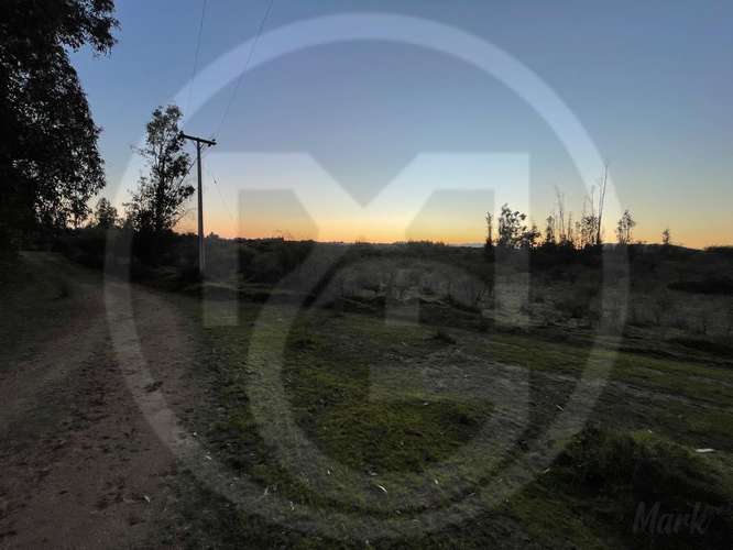 Parcela en Culiprán – 5.000m² con Luz  (105538) - Imagen 14