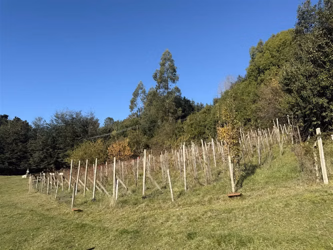 Venta De Casa Sobre Viña En Parcela Vista Al Lago + 3 Ca