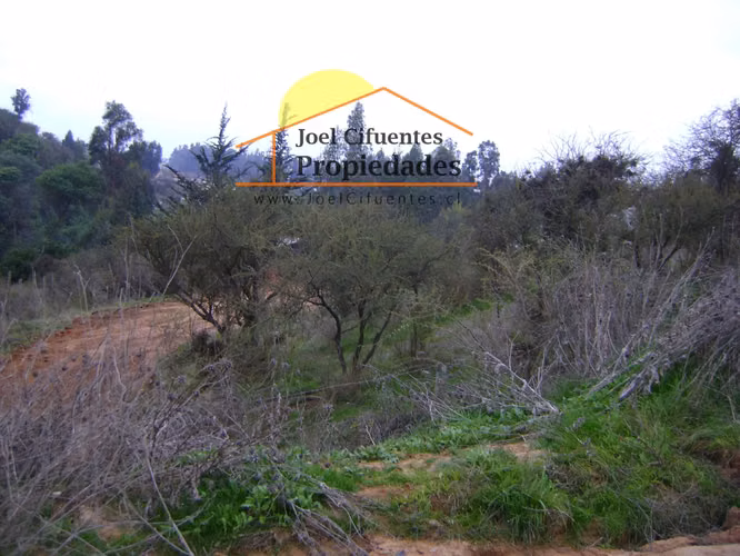 Terreno de 1890 mts2, Sector de Tte Serrano. Cod-2382 - Imagen 11