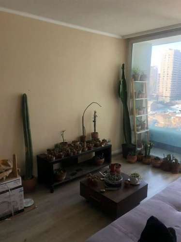 Departamento SANTA ROSA / SANTA ISABEL - Imagen 7