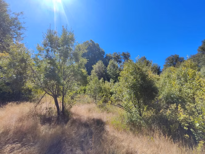 SE VENDEN 2 TERRENOS CERCA DE CHILLAN, PINTO, POR RECINTO