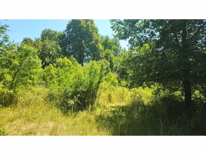 SE VENDEN 2 TERRENOS CERCA DE CHILLAN, PINTO, POR RECINTO