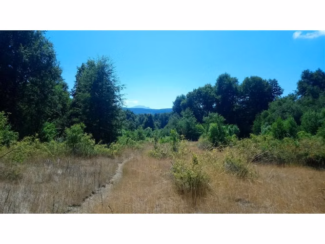 SE VENDEN 2 TERRENOS CERCA DE CHILLAN, PINTO, POR RECINTO