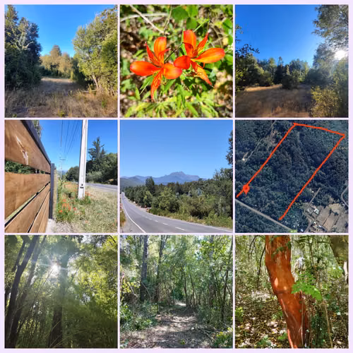 SE VENDEN 2 TERRENOS CERCA DE CHILLAN, PINTO, POR RECINTO