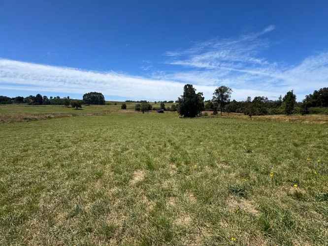 PARCELA Hacienda llanquihue