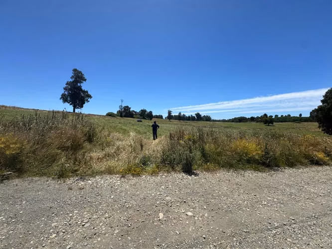 PARCELA Hacienda llanquihue