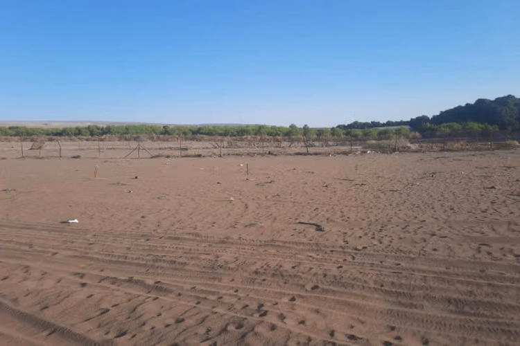 TERRENO EN PICA