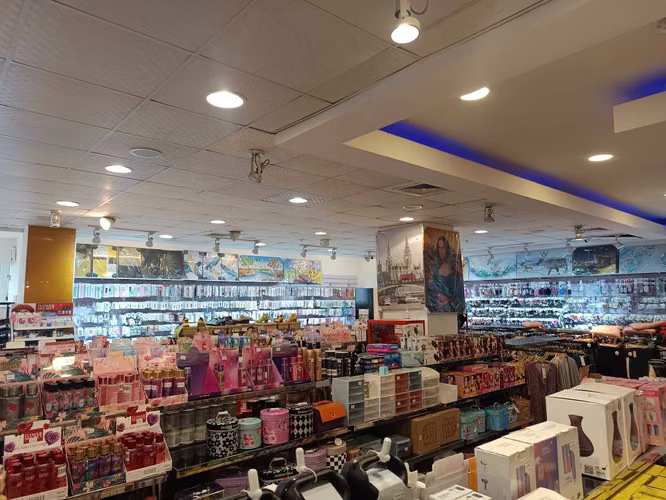 Gran Local Comercial  1.100MT2 Centro Linares (107235)