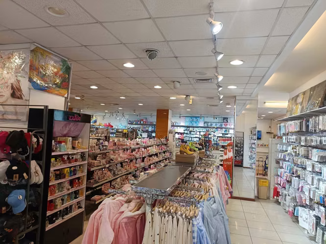 Gran Local Comercial  1.100MT2 Centro Linares (107235)