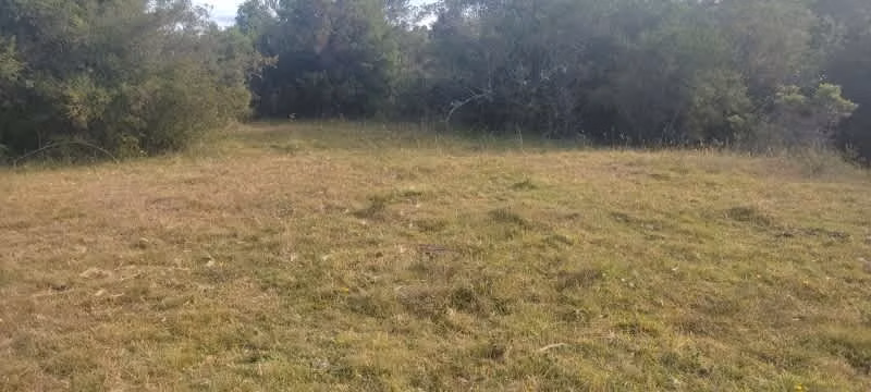 Parcela de 1.4 hectárea - Imagen 8