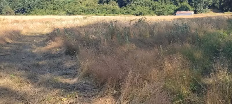 Arriendo Terreno a orilla de camino