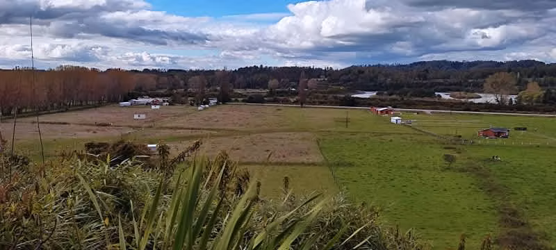 Parcela media há en Valdivia Sector Antilhue orilla camino