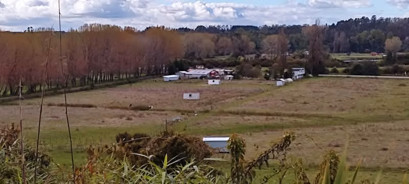 Parcela media há en Valdivia Sector Antilhue orilla camino