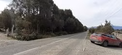 4 hectáreas Orilla carretera Sector Las Marcas