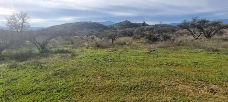 SE VENDE PARCELA COND. DOÑA IGNACIA LOS LAURELES LIMACHE