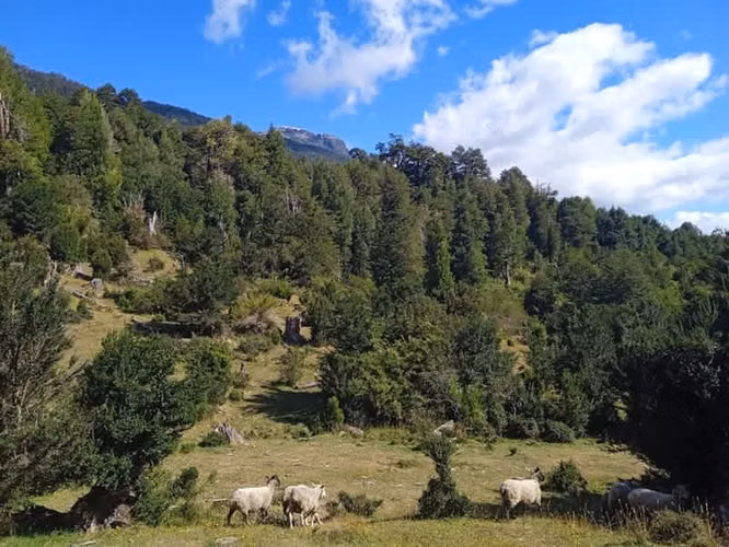 SE VENDE TERRENO CARRETERA AUSTRAL CHAITEN - PATAGONIA