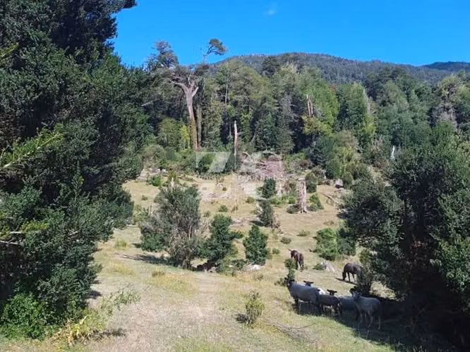 SE VENDE TERRENO CARRETERA AUSTRAL CHAITEN - PATAGONIA