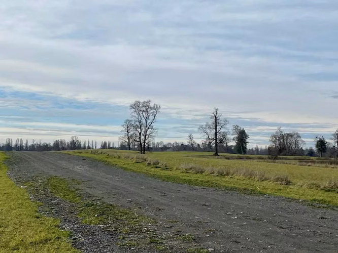 PROYECTO REFUGIOS DEL RÍO, REGION DE LOS LAGOS - Imagen 11