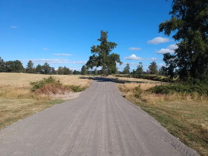 PROYECTO REFUGIOS DEL RÍO, REGION DE LOS LAGOS - Imagen 12
