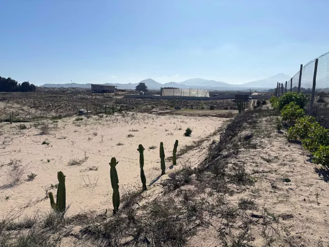 OPORTUNIDAD PARCELA VEGAS NORTE SERENA GOLF  (108119)