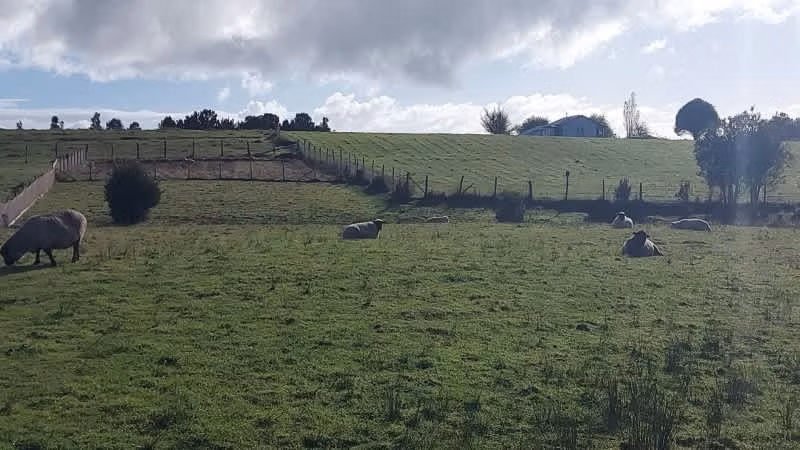 Se Vende Hermosa Parcela en Quemchi Chiloé