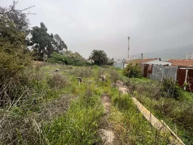 Amplio Terreno con Casa Paradero 30