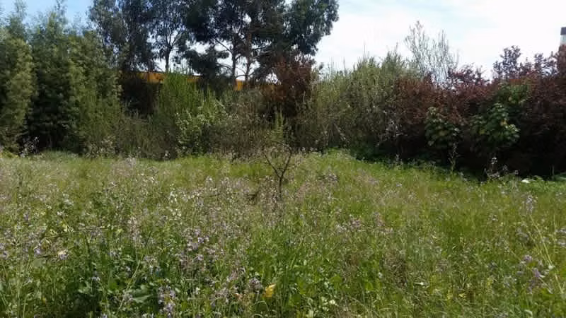Terreno Excelente Ubicación Quilpué