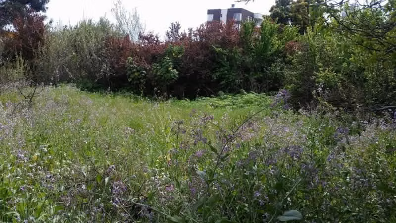 Terreno Excelente Ubicación Quilpué