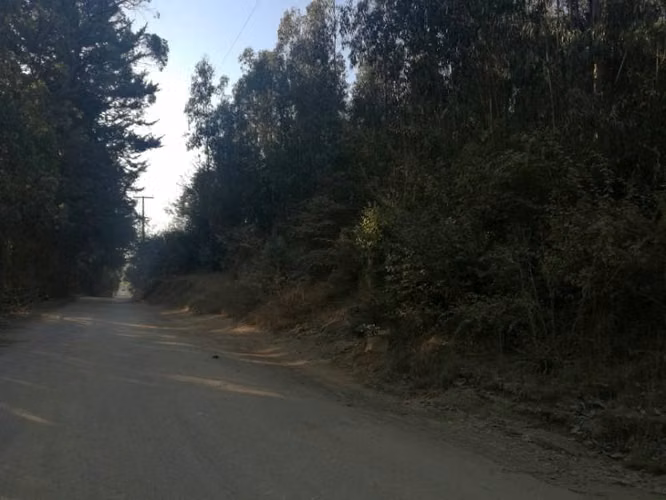 Gran Terreno Urbanizado en Placilla - Imagen 5