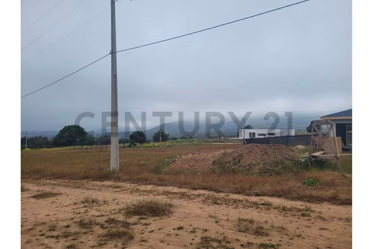Excelentes Terrenos en venta, Santa Adela - Imagen 19