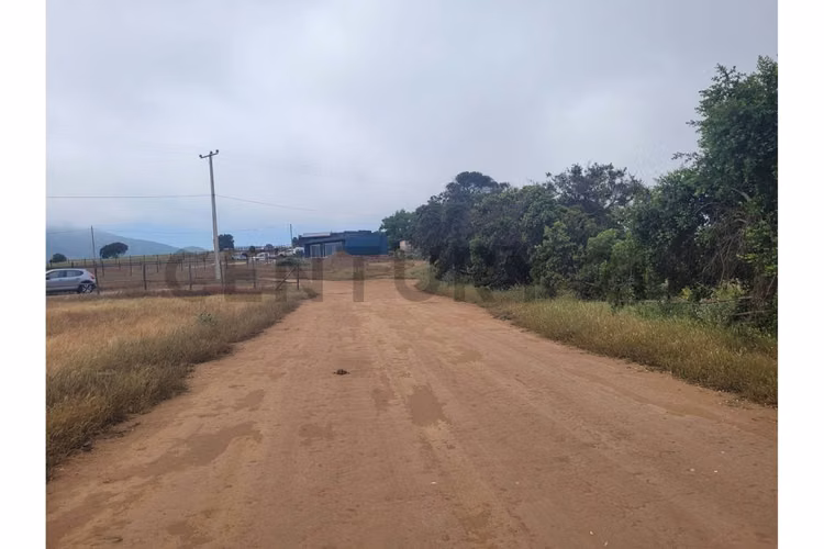 Excelentes Terrenos en venta, Santa Adela - Imagen 6