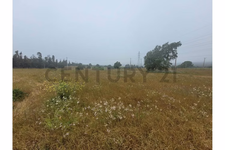 Excelentes Terrenos en venta, Santa Adela - Imagen 5