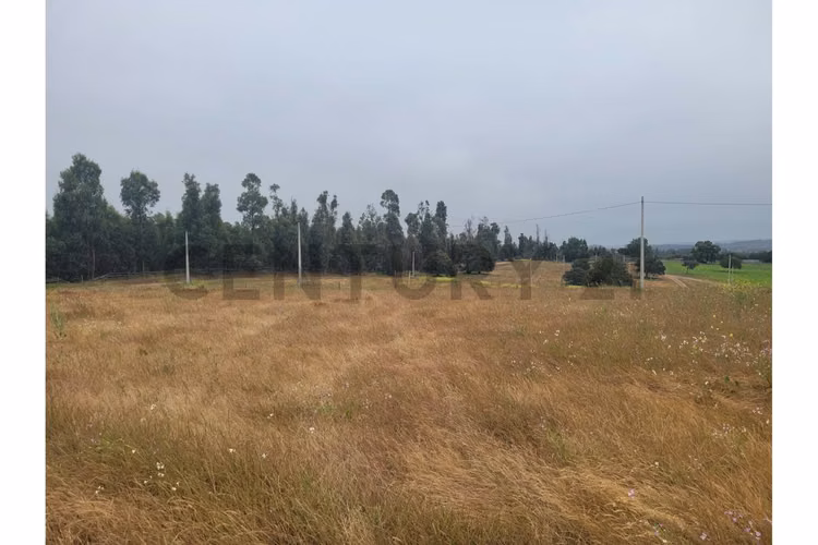 Excelentes Terrenos en venta, Santa Adela - Imagen 15