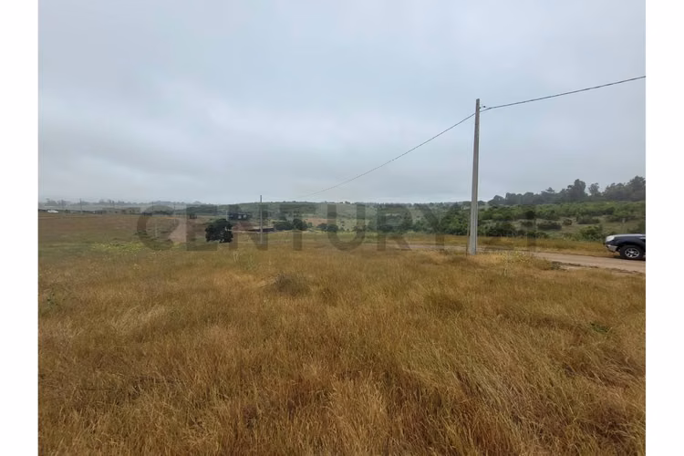 Excelentes Terrenos en venta, Santa Adela - Imagen 7
