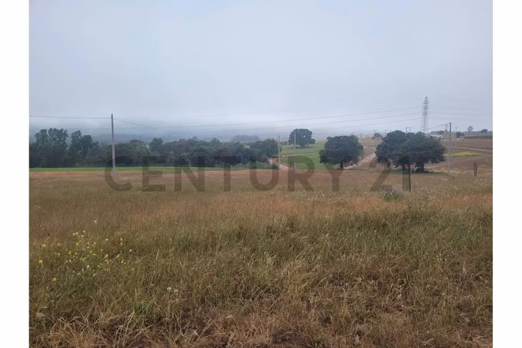 Excelentes Terrenos en venta, Santa Adela - Imagen 18